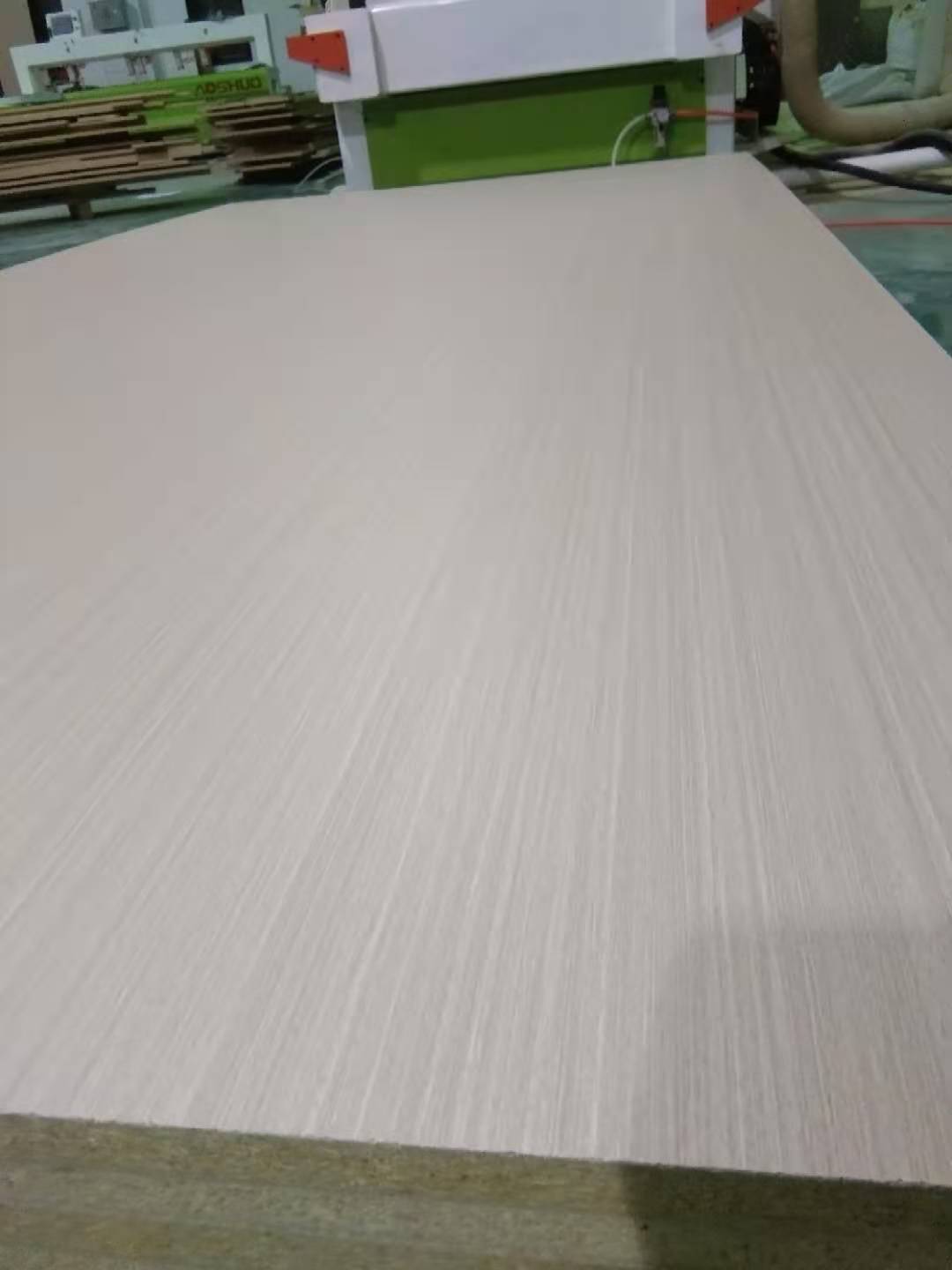 【小二跟單1301 全屋定制】星河國際10區，設計中